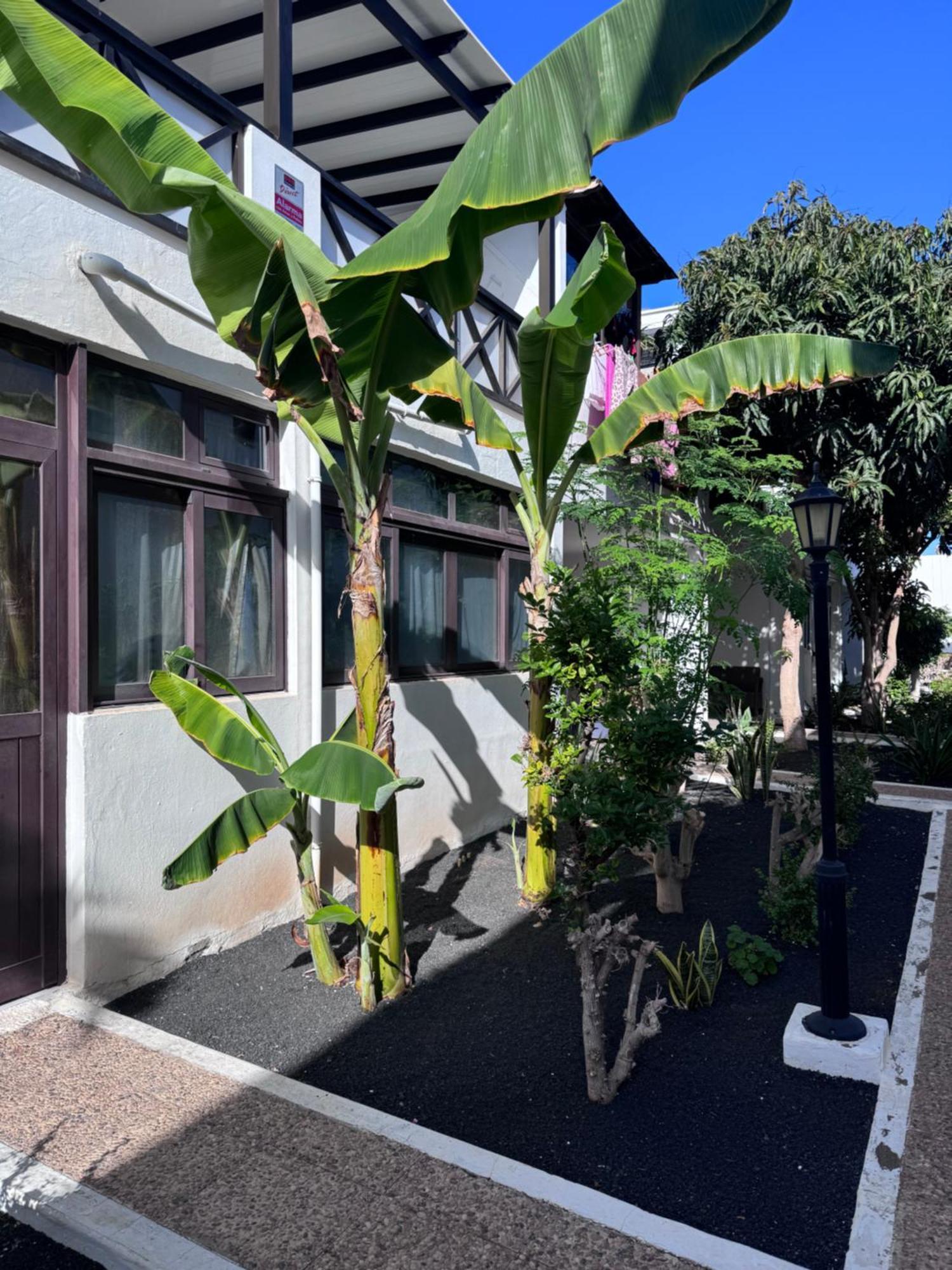 Apartamento Casa Ana Puerto Del Carmen Tías Exterior foto